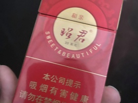 大青山(硬红昭君和亲)香烟价格表_多少钱一盒6