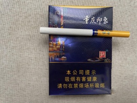 天子(重庆印象)香烟价格表_重庆印象中支多少钱一盒4