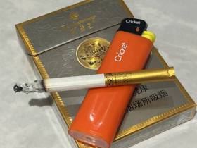 芙蓉王(硬中支)香烟价格表_多少钱一盒1