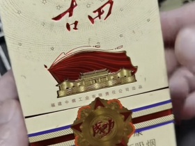 七匹狼(古田成功中支)香烟价格表_多少钱一盒3