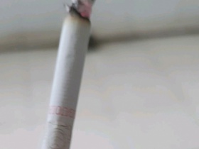 红杉树(大贡C)香烟价格表_红杉树大贡出口多少钱一盒1