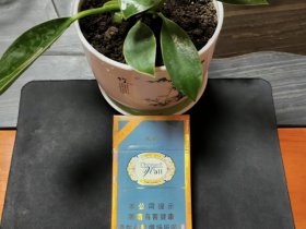 长城(醇雅薄荷)香烟价格表_长城陈皮薄荷多少钱一盒4