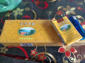官厅(软)香烟价格表_多少钱一盒5