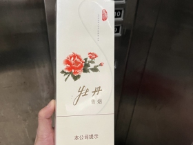 牡丹(真国色白中免版)香烟价格表_白牡丹出口中免版多少钱一盒3