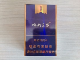 呼伦贝尔(金帐汗)香烟价格表_多少钱一盒4