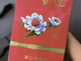 云烟(雪莲1960细支)香烟价格表_多少钱一盒4