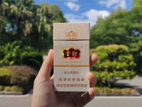 云烟(细支云龙)香烟价格表_多少钱一盒1