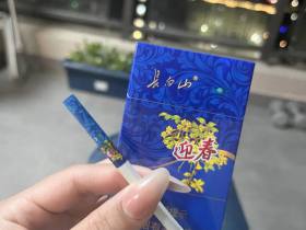 长白山(蓝尚)香烟价格表_长白山迎春蓝尚细支多少钱一盒4