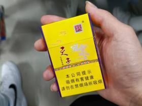 天子(金)香烟价格表_金天子多少钱一盒5