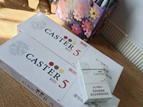 佳士达(硬红)香烟价格表_CASTER Red Hard多少钱一盒4