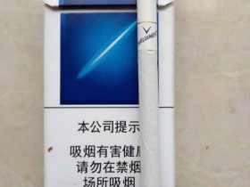 百乐门(普通)香烟价格表_Parliament 100s多少钱一盒5