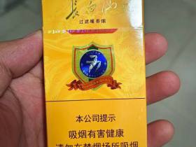 长白山(777)香烟价格表_多少钱一盒1