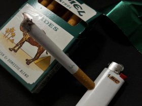 骆驼(薄荷)香烟价格表_CAMEL MENTHOL多少钱一盒1