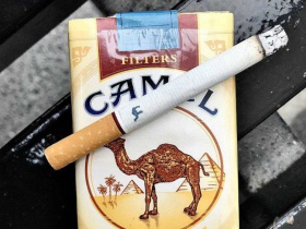 骆驼(软黄)香烟价格表_多少钱一盒1