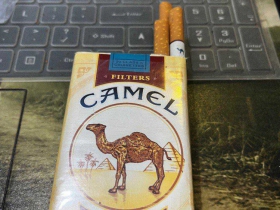 骆驼(软黄)香烟价格表_多少钱一盒4