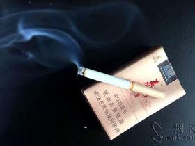 泰山(乐章)香烟价格表_批发价多少钱一盒2