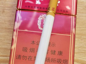 云烟(12mg苁蓉)香烟价格表_批发价多少钱一盒2