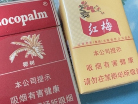 椰树(硬)香烟价格表_金装椰树多少钱一盒6