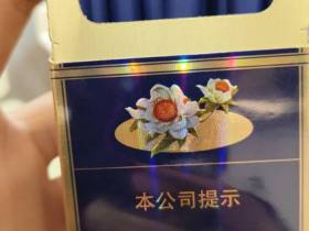 雪莲(蓝精品)香烟价格表_批发价多少钱一盒3
