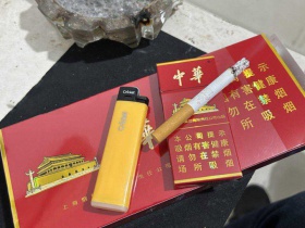 中华(5支硬盒)香烟价格表_批发价多少钱一盒5