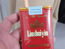 中南海(软精品)香烟价格表_中南海流水音多少钱一盒1