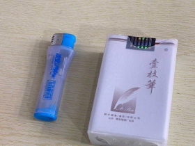 壹枝笔(珍贵)香烟价格表_批发价多少钱一盒1