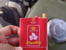五叶神(软红)香烟价格表_批发价多少钱一盒1