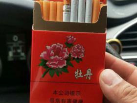 牡丹(硬)香烟价格表_批发价多少钱一盒1