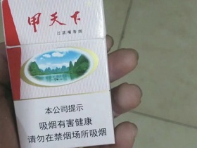 甲天下(山水)香烟价格表_批发价多少钱一盒2