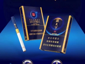 天子(观天下)香烟价格表_多少钱一盒4