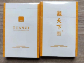 天子(观天下)香烟价格表_多少钱一盒5