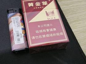 黄金叶(硬红旗渠)香烟价格表_10渠,十渠多少钱一盒4