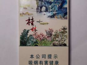 长城(桂林)香烟价格表_多少钱一盒1