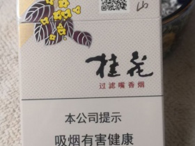 长白山(硬桂花)香烟价格表_多少钱一盒1