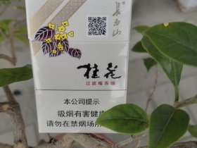长白山(硬桂花)香烟价格表_多少钱一盒3