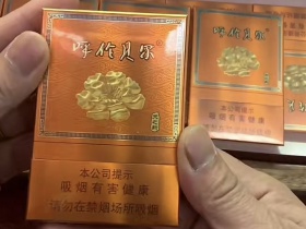 呼伦贝尔(天之韵)香烟价格表_多少钱一盒4