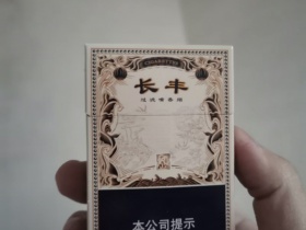大青山(长丰)香烟价格表_多少钱一盒4
