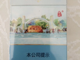 龙烟(北国风光)香烟价格表_龙烟亚布力多少钱一盒3