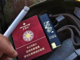 芙蓉王(领航)香烟价格表_多少钱一盒3