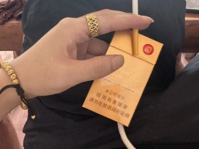 七匹狼(金砖细支)香烟价格表_多少钱一盒3