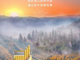 金圣(智圣出山·国味)香烟价格表_金圣智圣出山细支多少钱一盒4