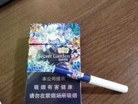 云烟(蓝神秘花园)香烟价格表_多少钱一盒4