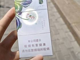 泰山(茶香)香烟价格表_泰山茉莉香韵多少钱一盒6