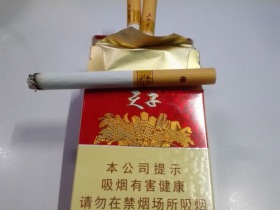 天子(五粮香20年)香烟价格表_多少钱一盒1