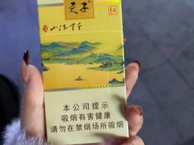 天子(千里江山细支)香烟价格表_多少钱一盒3