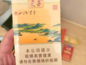 天子(千里江山)香烟价格表_多少钱一盒1