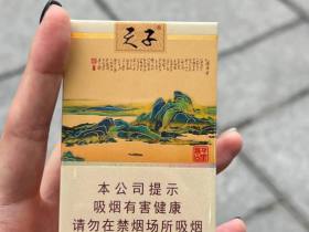 天子(千里江山)香烟价格表_多少钱一盒2
