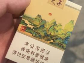 天子(千里江山)香烟价格表_多少钱一盒3