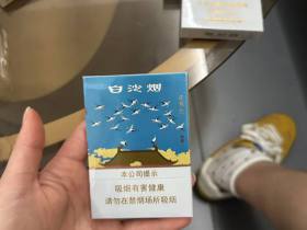 白沙(瑞中支)香烟价格表_多少钱一盒4