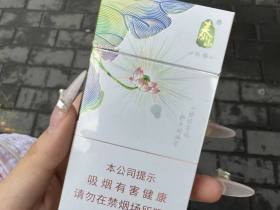 泰山(茉莉香韵)香烟价格表_泰山茶香多少钱一盒6